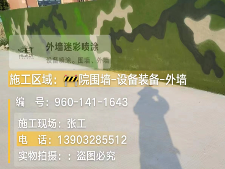 绍兴 迷彩漆喷涂价格（按平方米计费）
