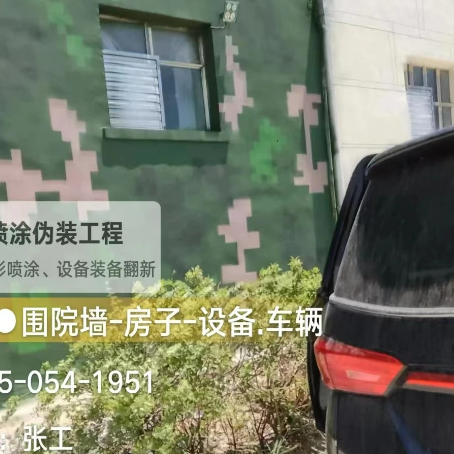 绍兴数码迷彩漆施工